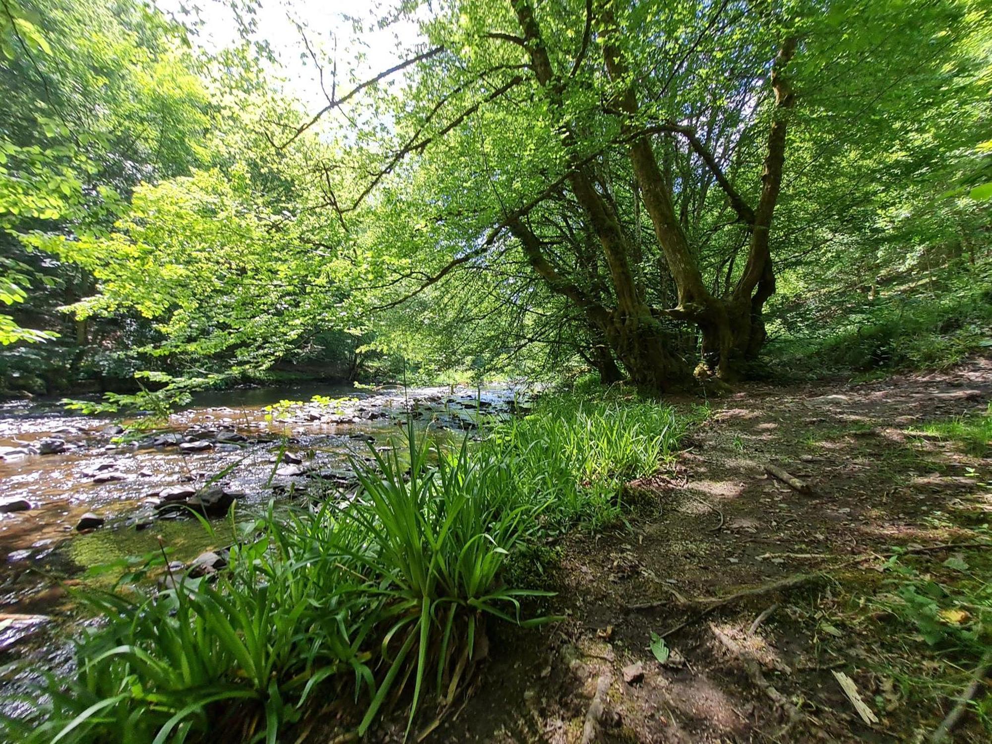 Ferienhaus Droefter Blick Monschau Exterior foto